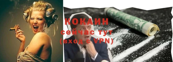 сатива Краснотурьинск