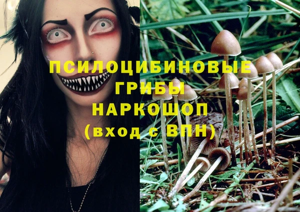 метадон Краснослободск
