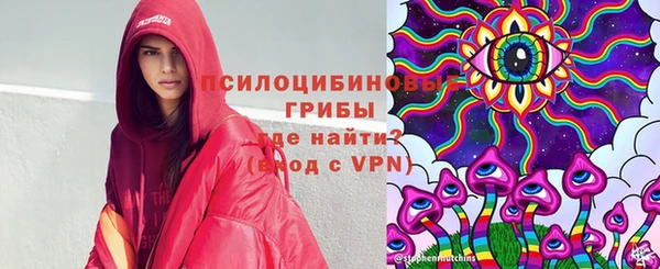 сатива Краснотурьинск