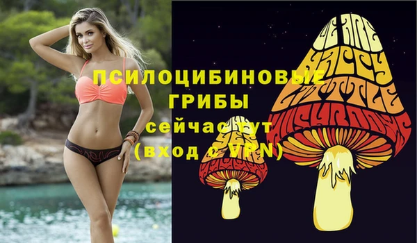 метадон Краснослободск