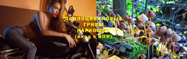 сатива Краснотурьинск