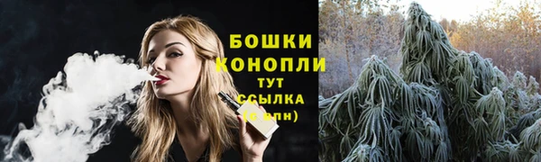 сатива Краснотурьинск
